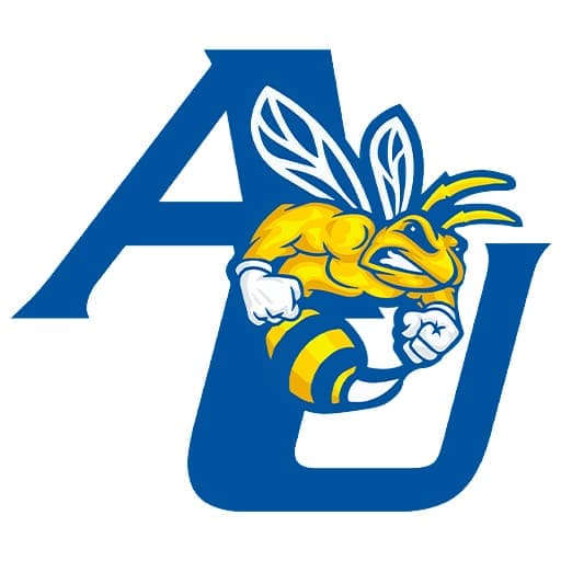 Allen University Yellow Jackets