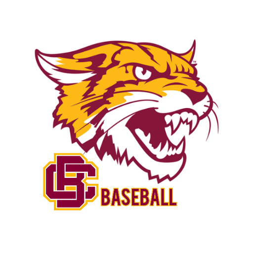 Bethune-Cookman Wildcats Baseball