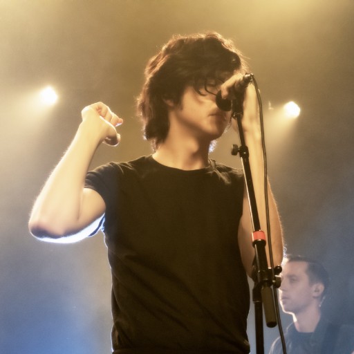 Car Seat Headrest in West Palm Beach