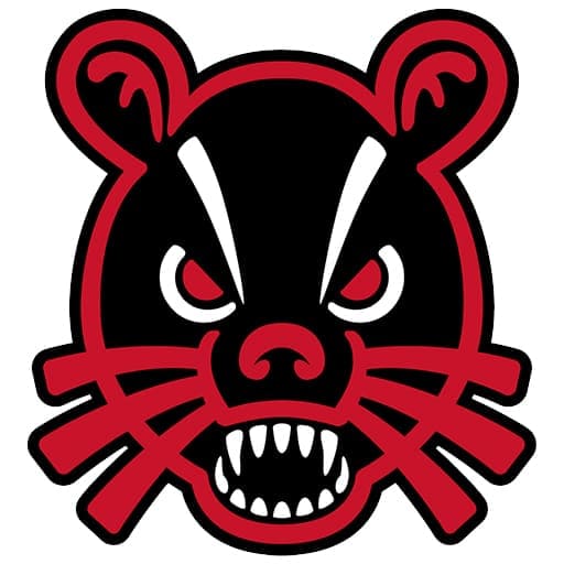 Cincinnati Bearcats Basketball