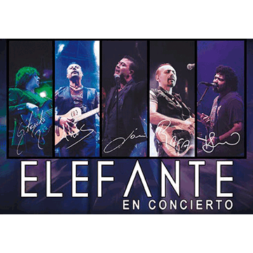 Elefante Concerts in West Palm Beach