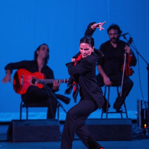 Flamenco! Maria Bermudez' Sonidos Gitanos West Palm Beach Tickets