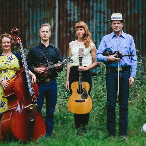 Foghorn Stringband Concerts in West Palm Beach