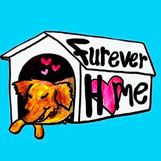 Furever Home West Palm Beach Tickets