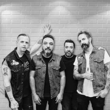 Molotov Concerts in West Palm Beach