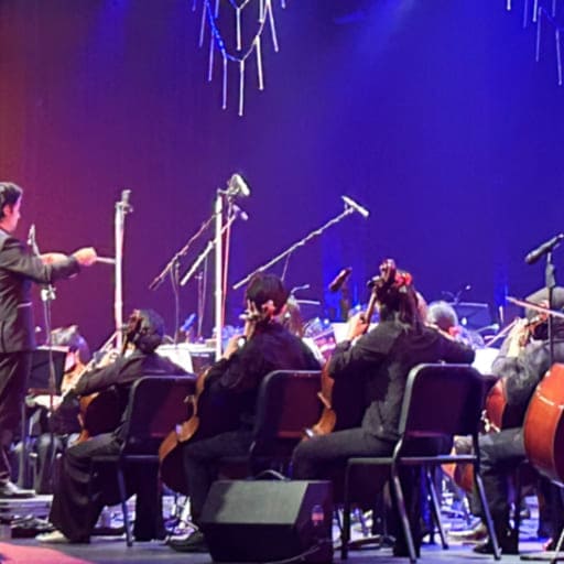 Musical Mindfulness Concerts in West Palm Beach