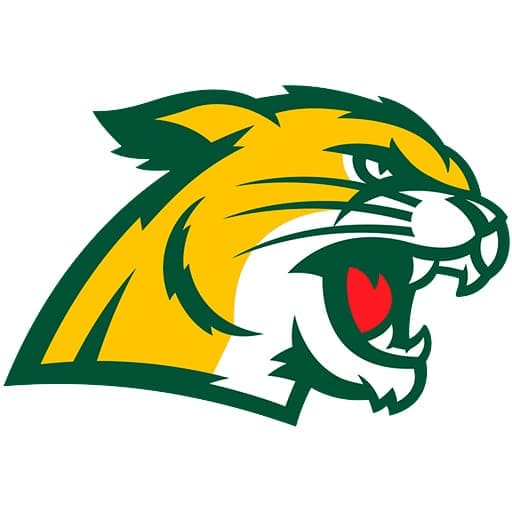 Northern Michigan Wildcats Hockey Schedule 2026–2027