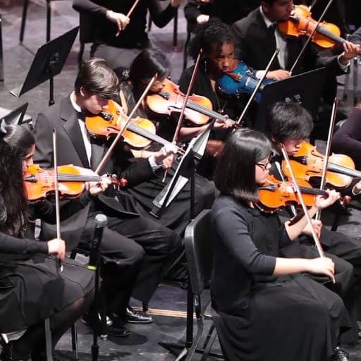The Moldau Concerts in West Palm Beach