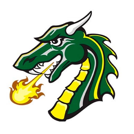 Tiffin Dragons Basketball