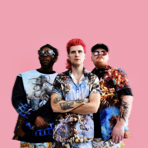 Too Many Zooz Concerts in West Palm Beach